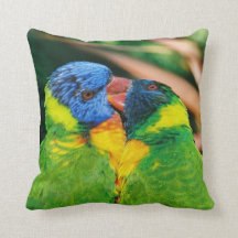 Lorikeets dans l'amour