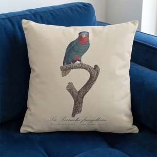 Coussin Loriquet à couronne bleue, Vini Australis