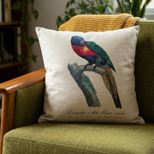 Coussin Loriquet arc-en-ciel mâle, Trichoglossus moluccanu