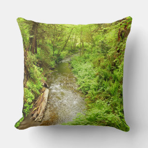 Coussin Lost Man Creek II à Redwood National Park