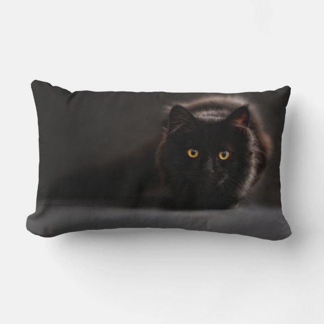 Coussin Lumbar 13 pouces x 21 pouces (Recto)