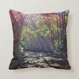 Coussin Lumière dispersée 2013