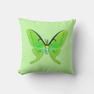 Coussin Luna moth sur un arrière - plan vert pâle