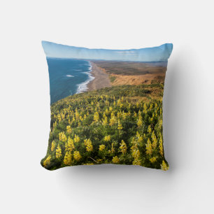 Coussin Lupin jaune au-dessus de la plage de Point Reyes à