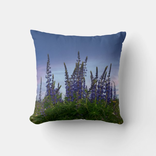 Coussin Lupins     (Recto)