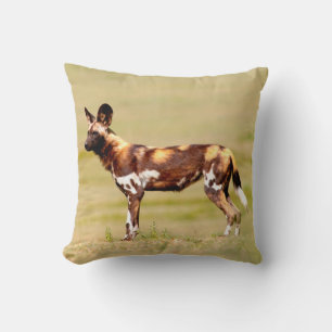 Coussin Lycaon Pictus Debout