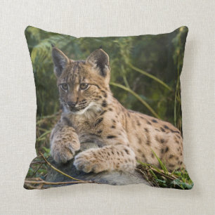 coussin - lynx