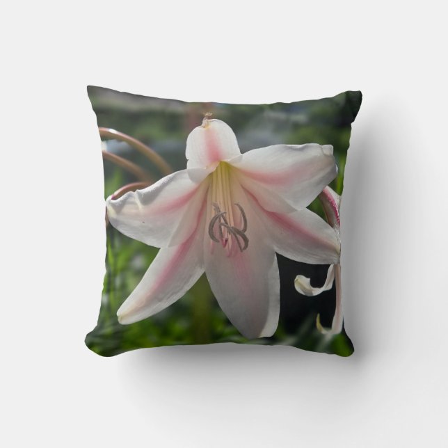 Coussin Lys rose et blanc (Recto)