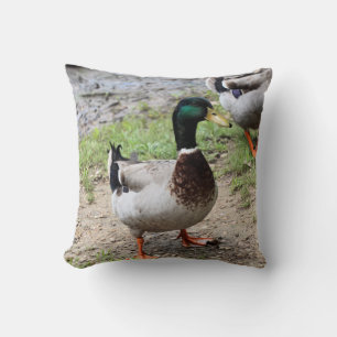 Coussin M. Canard