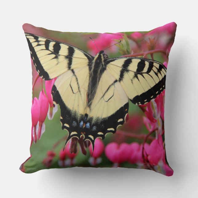 Coussin Machaon oriental 2 (Recto)