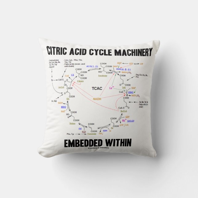Coussin Machines À Cycle D'Acide Citrique Intégrées Dans D (Recto)
