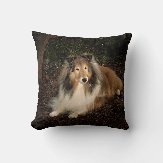 Coussin magique de Sheltie (Recto)