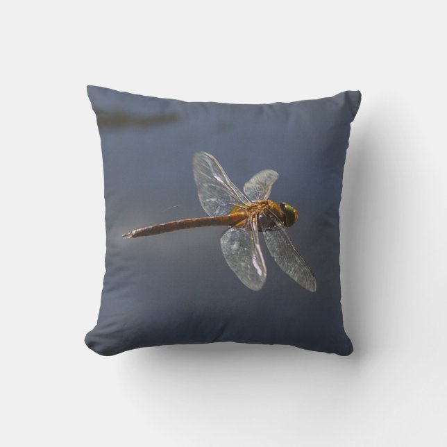 Coussin Magnifique Dragonfly Close Up Over Water (Recto)