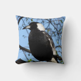 Coussin Magpie australienne