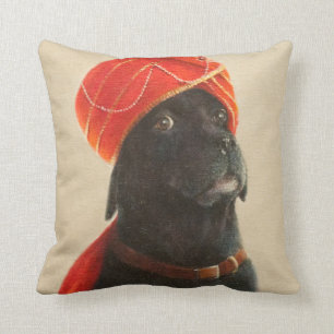 Coussin Maharaja réticent 2010