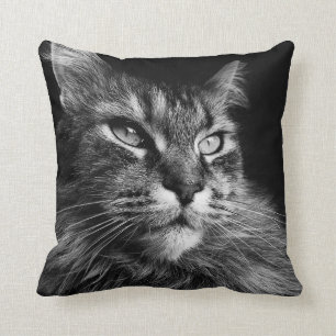 Coussin Maine Coon Cat 16 x 16