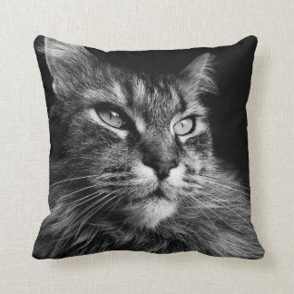Coussin Maine Coon Cat 16 x 16