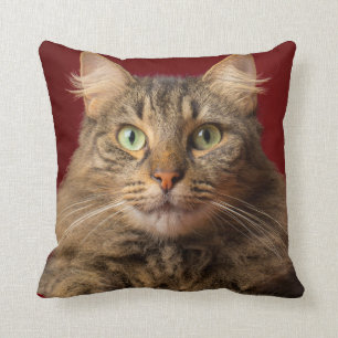 Coussin Maine Coon pour Noël avec collectionneur