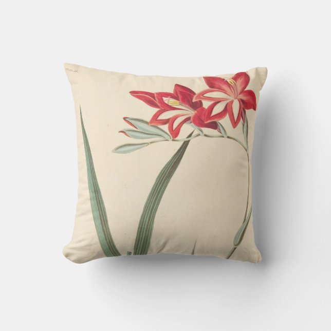 Coussin Maïs-Drapeau superbe (Recto)