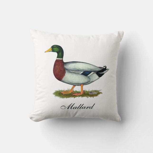 Coussin Mallard Duck Drake (Recto)