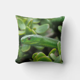 Coussin Mamba vert oriental (Dendroaspis angusticeps)