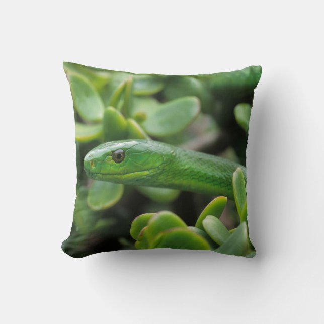 Coussin Mamba vert oriental (Dendroaspis angusticeps) (Recto)