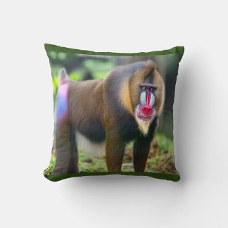 Coussin Mandrill Baboon
