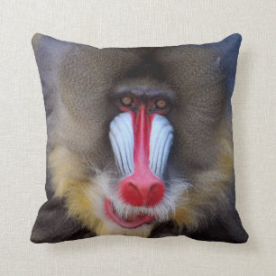 Coussin Mandrill viril