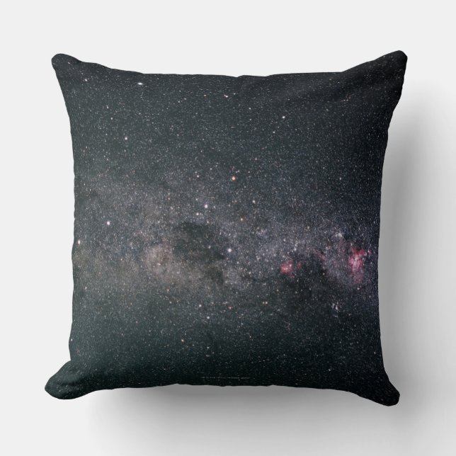 Coussin Manière laiteuse 3 (Recto)