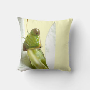 Coussin Mantid