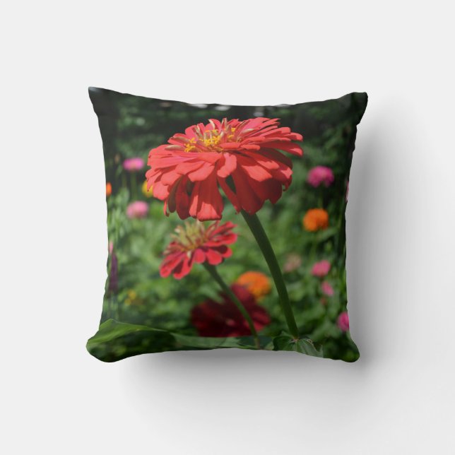 Coussin marguerite rouge orangé fleuri, jardin de fleurs r (Recto)