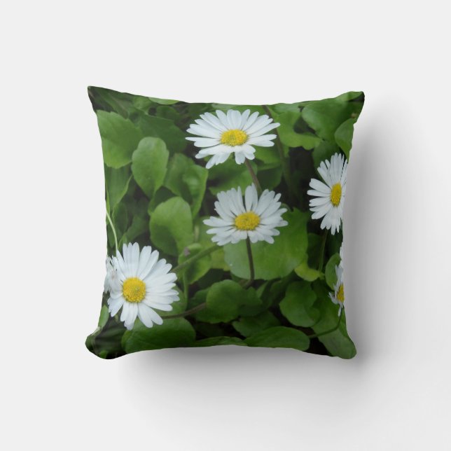 Coussin marguerrier blanc 41 cm x 41 cm (Recto)