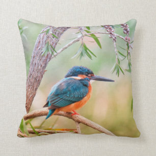 Coussin Martin-pêcheur été perché sur la branche