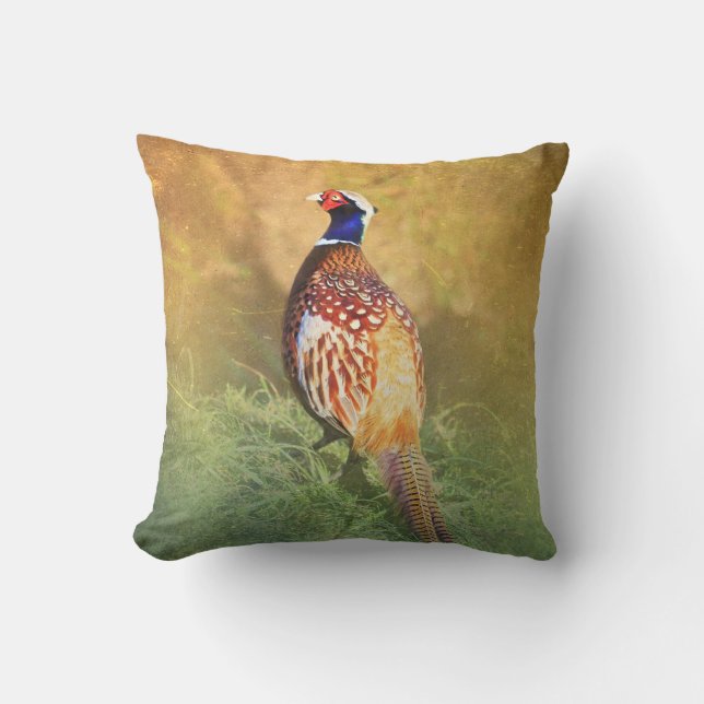 Coussin masculin de faisan (Recto)
