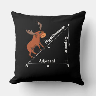 Coussin Math drôle Hypoténoose Géométrie Moose Moose Plais