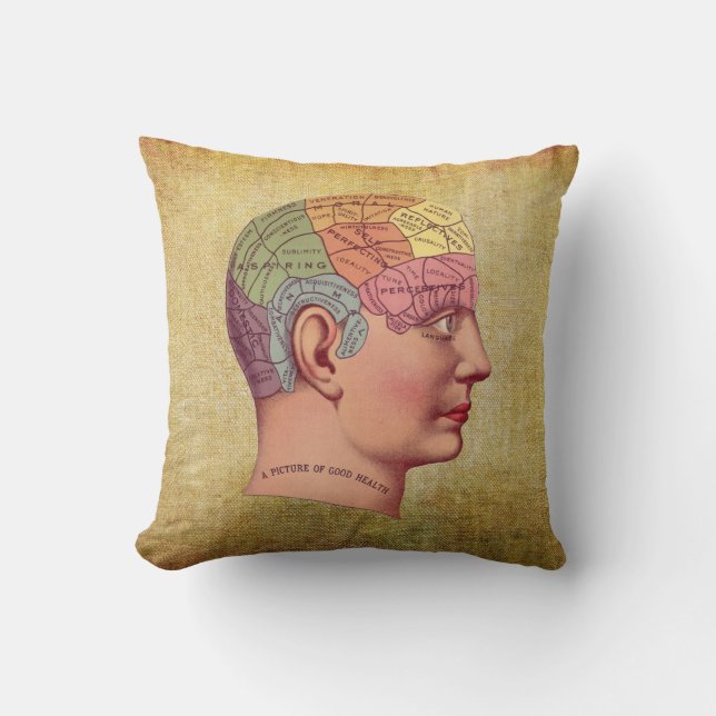 Coussin Médicale vintage d'anatomie de cerveau (Recto)