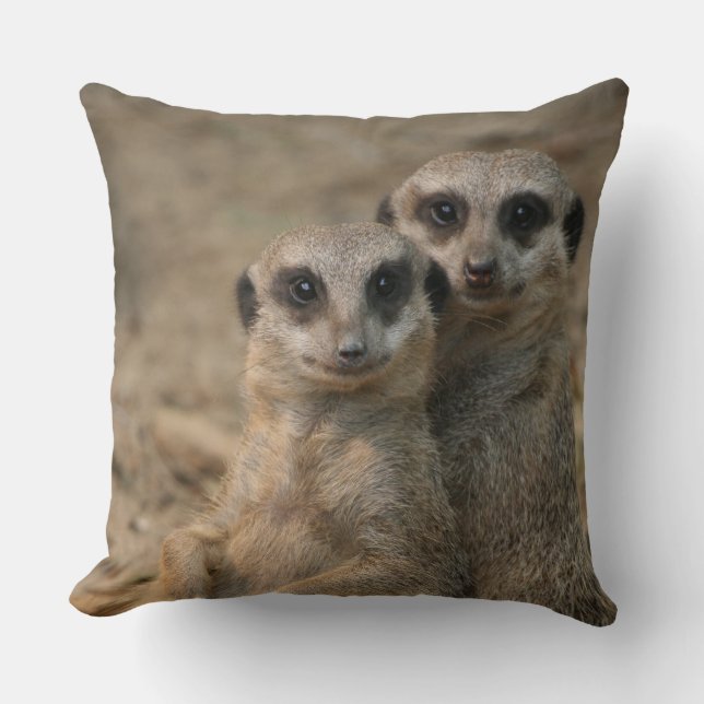 Coussin Meerkat 067 (Recto)
