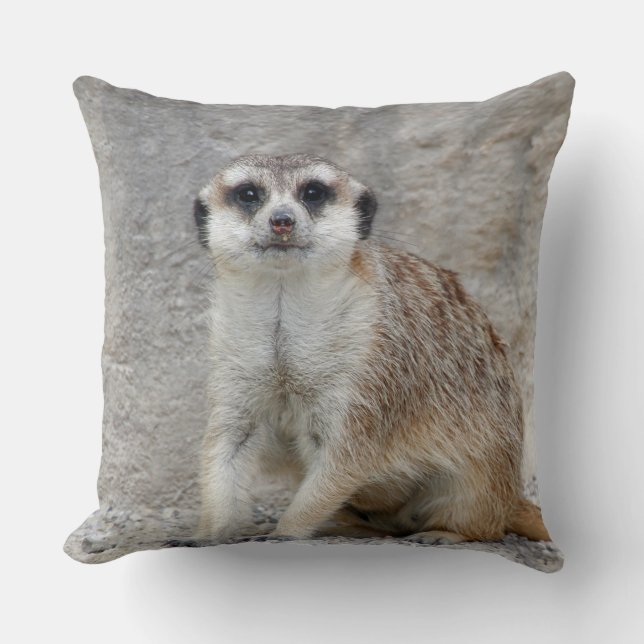 Coussin Meerkat 134 (Recto)