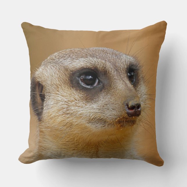 Coussin Meerkat 154 (Recto)