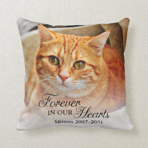 Coussin Memorial Cat Photo Pour Toujours Dans Nos Coeurs