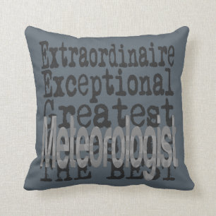 Coussin Météorologue Extraordinaire