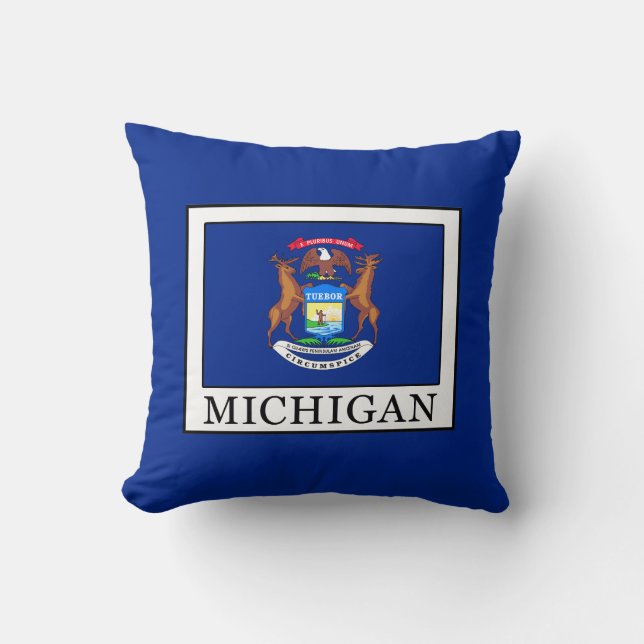 Coussin Michigan (Recto)