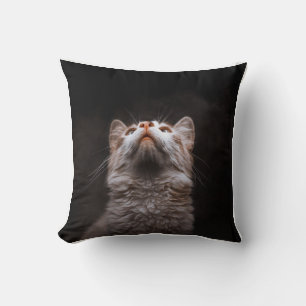 Coussin Mignon Chat Fluffy Regardant Vers le Haut – Concep