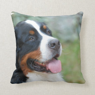 Coussin mignon de Bernese