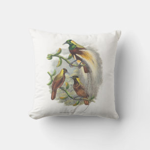 Coussin mignon pour oiseaux