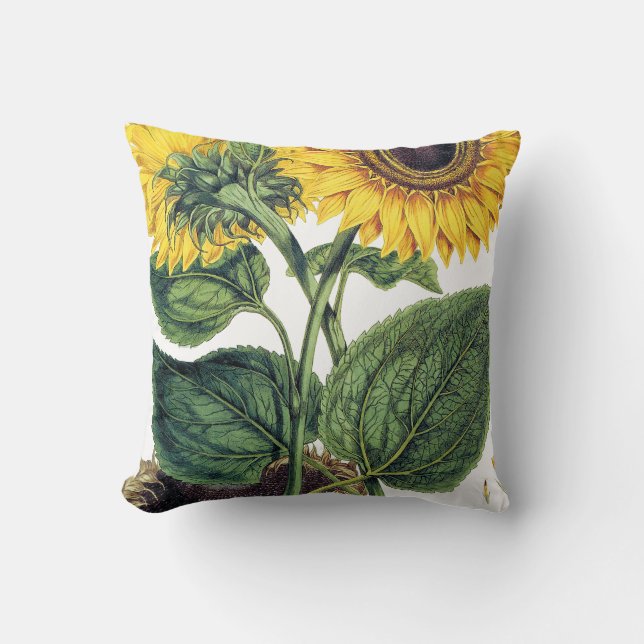 Coussin Miller : Tournesol (Recto)