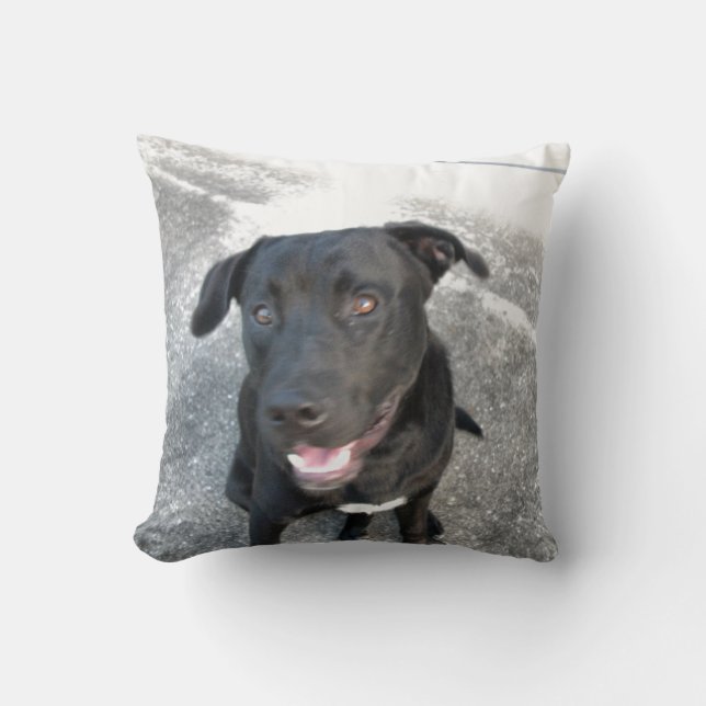 Coussin Minuit le Black Lab sourit (Recto)