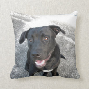 Coussin Minuit le Black Lab sourit