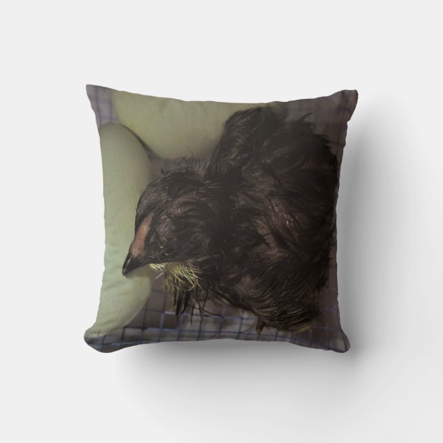 Coussin Minutes (Recto)