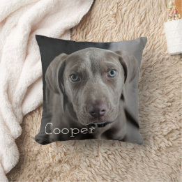 Coussin Modern Personalized Dog 2 Photo